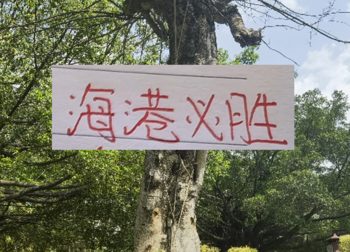 pg电子账号注册-前有奇塔 现有奥斯卡 海港旧将也喜欢度假途径母队|上海海港|奇塔迪尼|足协杯|奥斯卡-罗梅罗|足协_新浪体育_新浪新闻